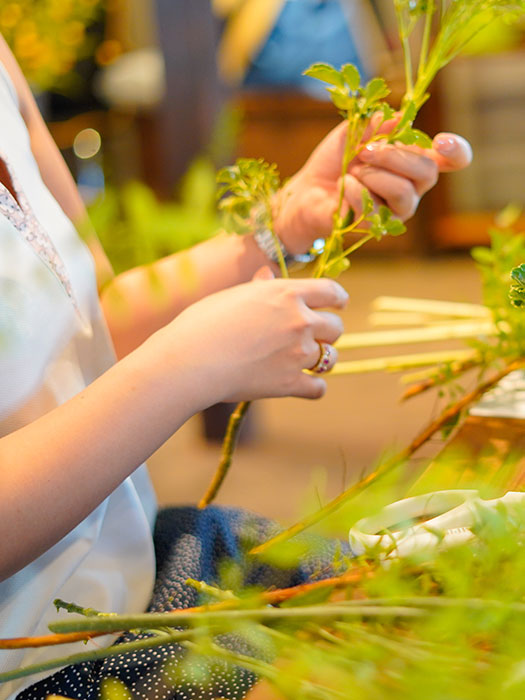 ディプロマシステム