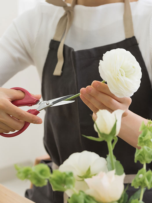 インストラクター・講師紹介