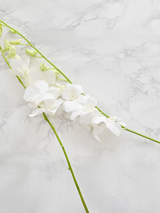 当協会について